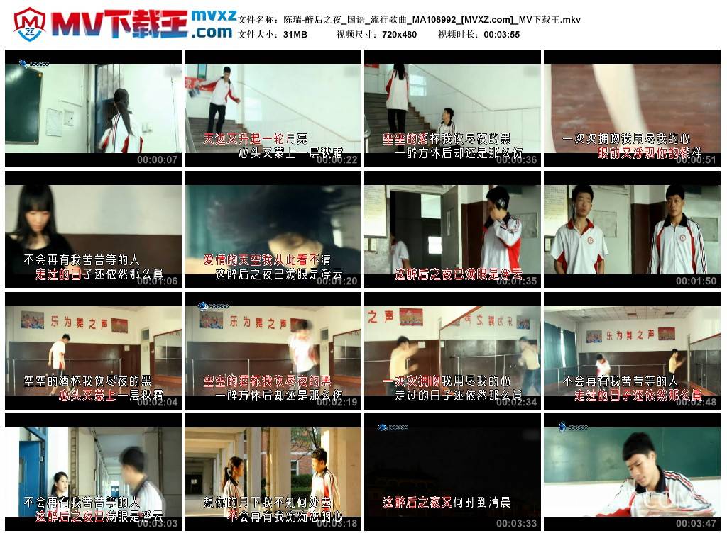 陈瑞-醉后之夜_国语_流行歌曲_MA108992